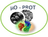 Lancement du projet µO-PROT